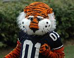 aubie